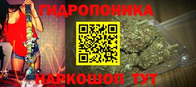 молекула духа Славгород